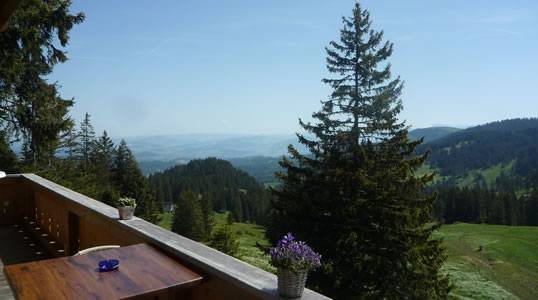 Restaurant, BergHütte Selital