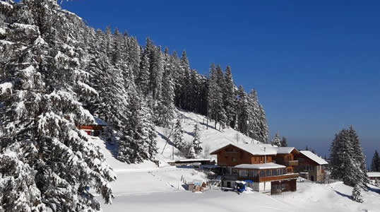 Restaurant, BergHütte Selital