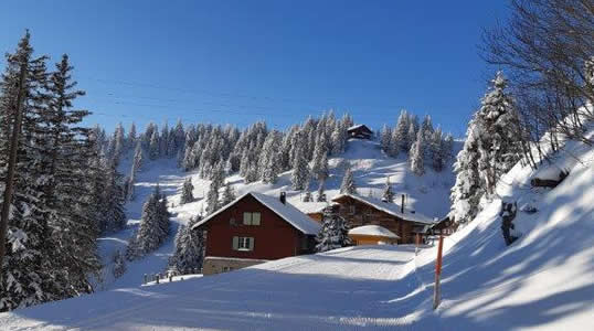 Restaurant, BergHütte Selital