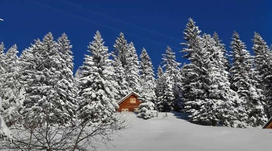 Restaurant, BergHütte Selital