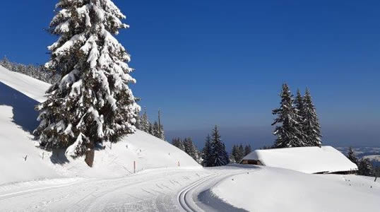 Restaurant, BergHütte Selital