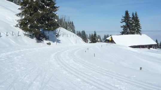 Restaurant, BergHütte Selital