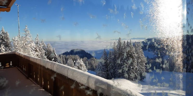 Restaurant, BergHütte Selital